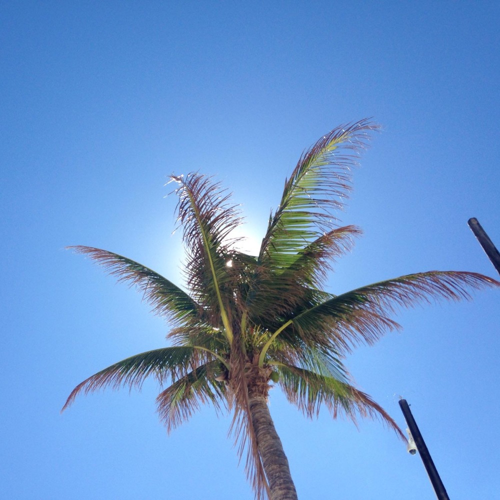 Meet your Posher, Caroline